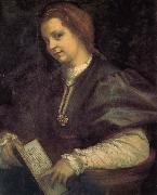 Take the book portrait of woman Andrea del Sarto